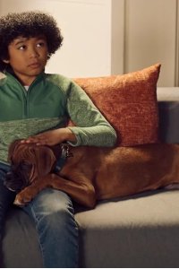 Puppy Place – S01E07 – Jack