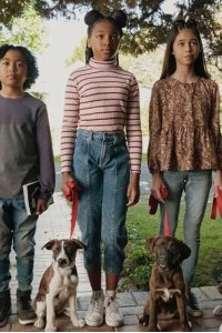 Puppy Place – S02E04 – Buddy