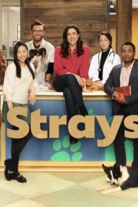 Strays – S01E01 – Cat Condo