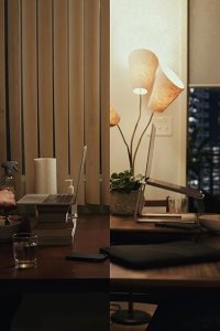 Mr. Corman – S01E10 – The Big Picture