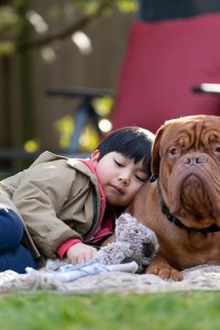 Turner & Hooch – S01E09 – Witness Pup-tection