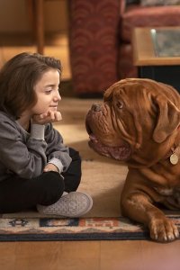 Turner & Hooch – S01E11 – Hooch Machina