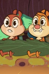 Chip ‘n’ Dale: Park Life – S01E02 – The Whole Package/Bird Brains/Acorn In My Side