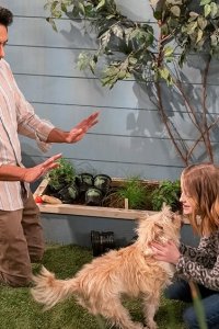 United States of Al – S01E12 – Dog/Spai