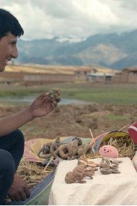 Waffles + Mochi – S01E03 – Potato