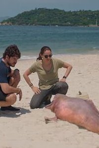 Cidade Invisível – S01E01 – Queria muito que você estivesse aqui