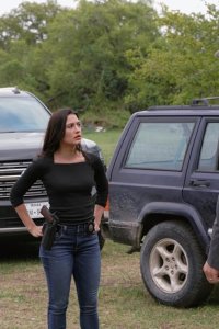 Walker – S04E10 – End This Way