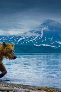 A Perfect Planet – S01E01 – Volcano