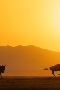 A Perfect Planet – S01E02 – The Sun