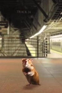 Tiny Creatures – S01E02 – New York