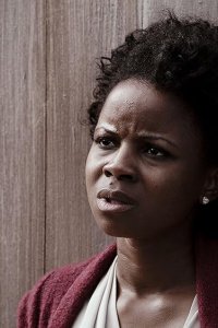 The Fugitive – S01E10 – Getting the Gang Back Together