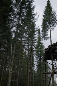 Barkskins – S01E08 – The Black Sun