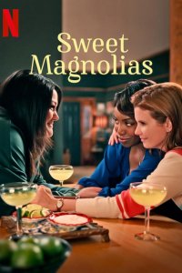 Sweet Magnolias – S05E01 – Episode #5.1