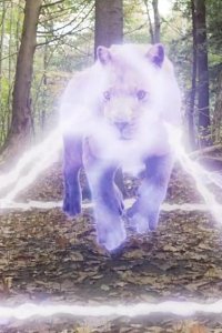 Endlings – S01E06 – Surprise