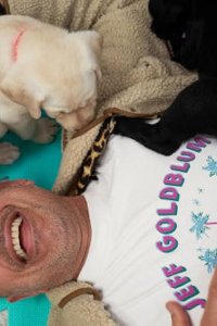 The World According to Jeff Goldblum – S02E01 – Dogs