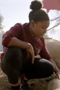 Marvel’s Hero Project – S2020E16 – Genesis the Amazing Animal Ally