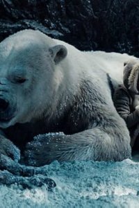 His Dark Materials – S01E05 – The Lost Boy