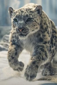 His Dark Materials – S03E07 – The Clouded Mountain