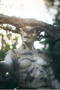 The Birch – S02E03 – Cherry Blossom