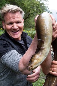Gordon Ramsay: Uncharted – S01E02 – New Zealand’s Rugged South