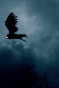 The UnXplained – S01E03 – Strange Creatures