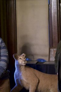 Portals to Hell – S03E08 – Kreischer Mansion