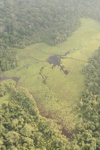 Our Planet – S01E03 – Jungles