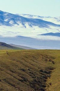 Our Planet – S01E05 – From Deserts to Grasslands