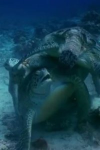 Hostile Planet – S01E02 – Oceans