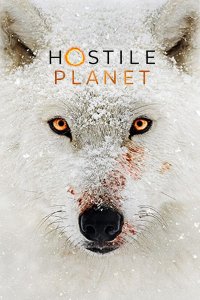 Hostile Planet – S01E06 – Polar