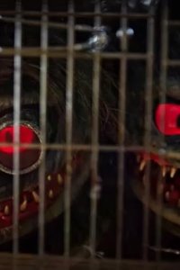 Critters: A New Binge – S01E04 – Veronica