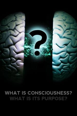 What Is Consciousness? What Is Its Purpose?