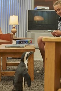 Northern Rescue – S01E04 – D-U-A-L-I-T-Y