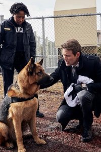 Hudson & Rex – S01E07 – Trial and Error
