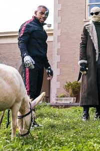Doom Patrol – S01E02 – Donkey Patrol