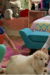 Sydney to the Max – S01E02 – Who Let the Dogs In