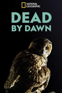 Dead by Dawn – S01E01 – The Hills Have Eyes