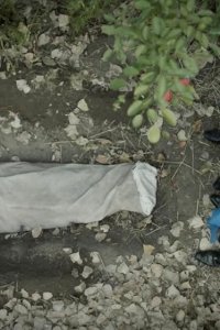 Coroner – S04E05 – Degargoony
