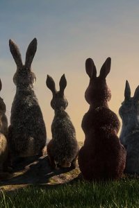 Watership Down – S01E01 – The Journey