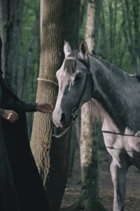 Hakan: Muhafiz – S04E03 – Episode #4.3