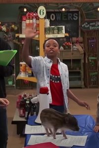 Cousins for Life – S2019E05 – This Little Piggy Went To Market