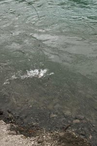 Into Alaska – S01E05 – Fishing the Midnight River