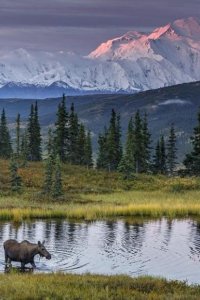 Into Alaska – S01E10 – End of Summer