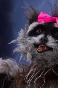 The Curious Creations of Christine McConnell – S01E05 – A Cake for Rose