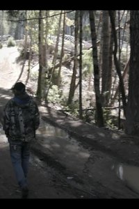 Murder Mountain – S01E01 – The Redwood Curtain