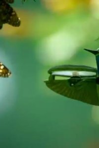 Spy in the Wild – S02E02 – The North